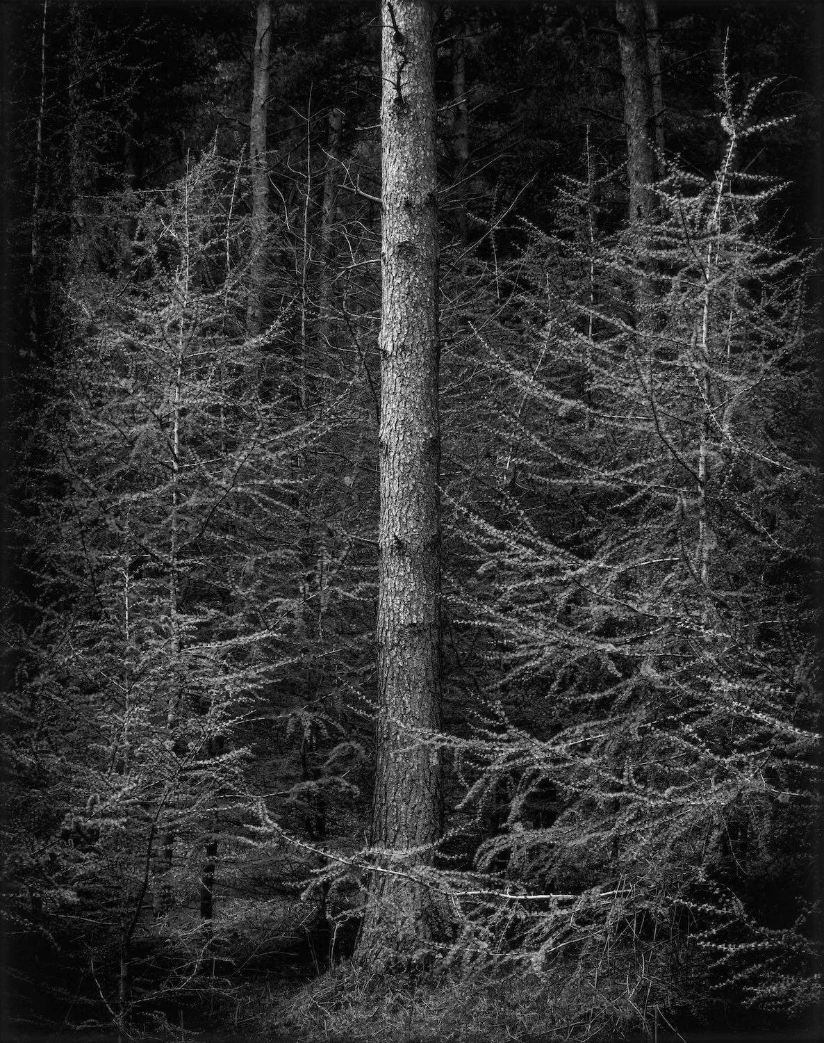 Truncated photobook by Paul Hart — PAUL HART